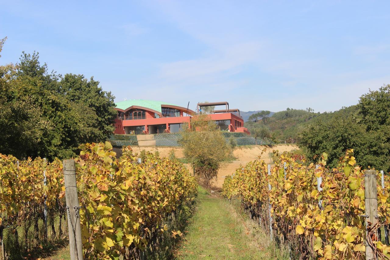 Buonamico Wine Resort モンテカルロ エクステリア 写真